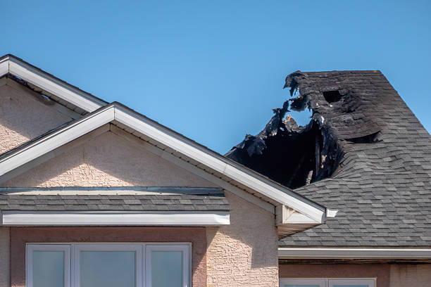 Top rated local Fire Board Up specialists in Gotha, FL